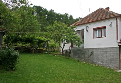 Ljubo Damljanović