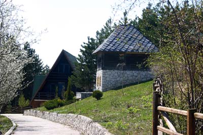 Boriša Tomić