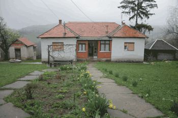 Dragiša Birčanin