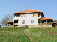 Zeleni zec